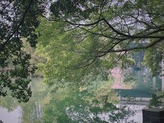 -小洲村