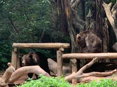 -广州长隆野生动物世界