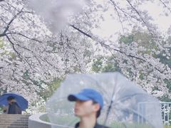 -杭州少年儿童公园