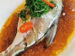 -有腥气私房菜·寻味顺德