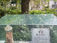 -广州神农草堂中医药博物馆