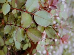 -丽江花间堂·隐泉院