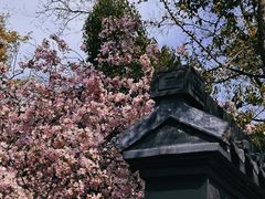 -莫愁湖公园