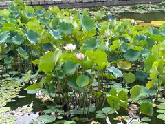 -国家植物园南园