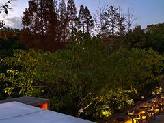 -毛辣果·酸(OHA复兴西路店)