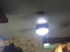 -小二楼炖肠