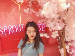-农院路3号夜市