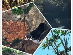 -秦岭终南山世界地质公园翠华山景区