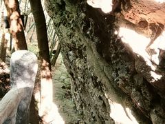 -达蓬山旅游度假区