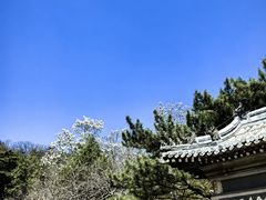 -潭柘寺景区
