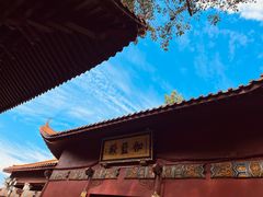 -深圳仙湖植物园