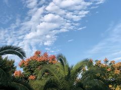 -上海东方佘山翰悦阁酒店·Vie全日制餐厅