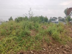 -秋波里爆蛋豆腐虾·清真(开元万达店)