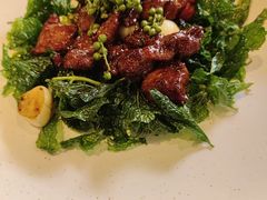 -青梅酒肆PLUS(长白仙岛北路店)