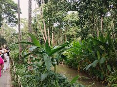 -中国科学院西双版纳热带植物园