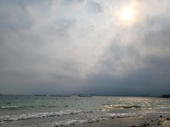 -东郊椰林