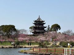 -上海海湾国家森林公园