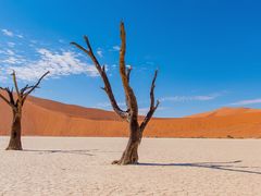 -红棚子(女人街店)