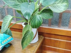 -渔码头食府(蓬莱阁店)