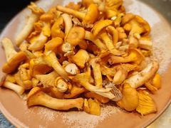 -菌自由丨野生菌火锅特色庭院餐厅(丽江古城店)