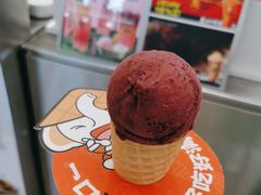-极拉图·现制冰淇淋(大卫城店)