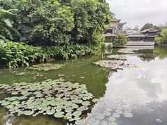-荔湾湖公园