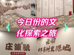 -花之城