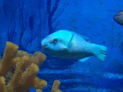 -多彩贵州城极地海洋世界