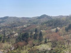 -四明山国家森林公园