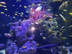 -成都浩海立方海洋公园