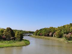 -上海海湾国家森林公园