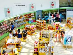 -济州岛泰迪熊博物馆