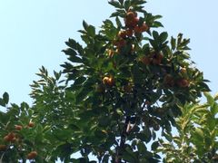 -北京宽沟会议中心