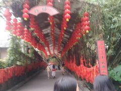 -观澜山水田园