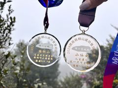 -梧桐山风景名胜区