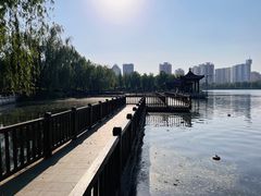 -莲花池公园