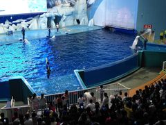 -福州罗源湾海洋世界旅游区