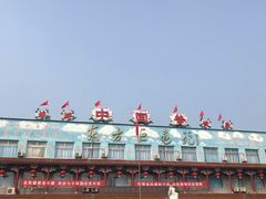 -东方巨龟苑景区