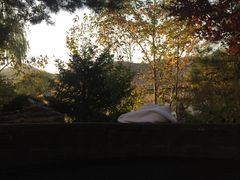 -金石唐风国际温泉会馆