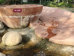 -成都市活水公园