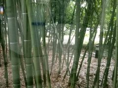 -上海中医药大学附属曙光医院(东部)