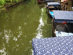 -合肥滨湖国家森林公园