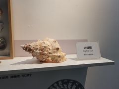 -重庆欢乐海底世界