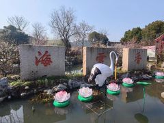 -香雪海