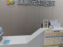 -瑞鹏宠物医院·骨外科·心肾科·肿瘤科(九亭店)