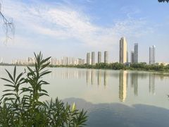 -金银湖国家城市湿地公园