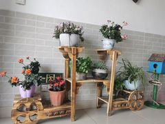 -美味之家·湖景农家乐(太湖东山店)