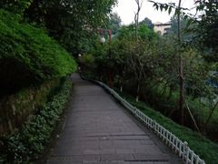 -重庆彩云湖湿地公园