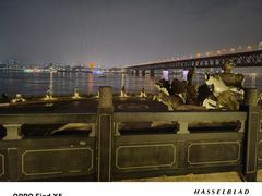 -汉水谣·江景餐厅(江滩店)