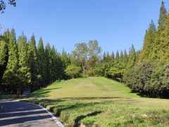 -东平国家森林公园